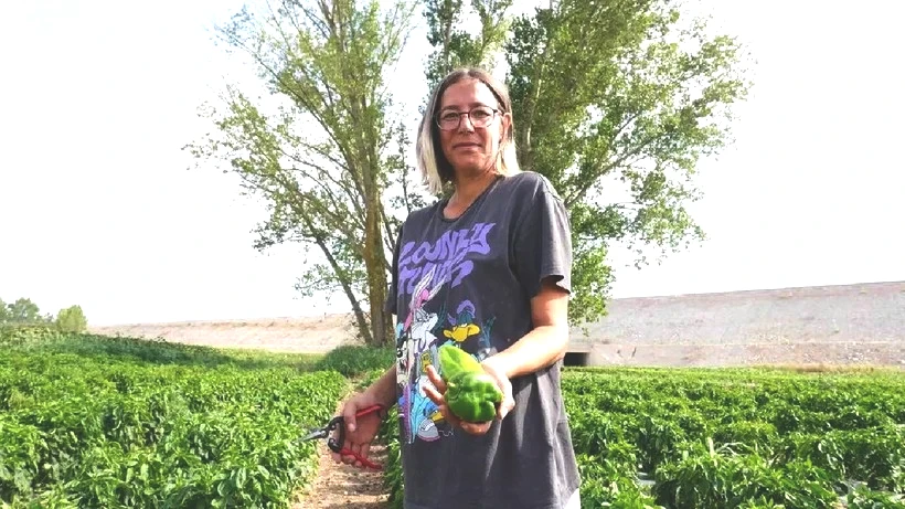 Yıllarca Özel Sektörde Canına Tak Etti: İstifa Edip Köye Yerleşti, Şimdi Paraya Para Demiyor - Resim: 2